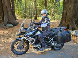 woman sitting on a motorcycle wearing gryphon motorcycle gear and a helmet in the forest